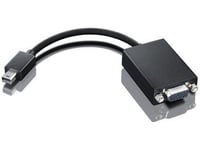 Av-Adapter Lenovo Display Port Mini - D- Sub (Vga) Svart (0A36579)