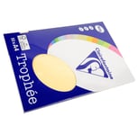 Clairefontaine Lot de 10 Ramettes 50 Feuilles Papier 160g A4 210x297 mm Certifié FSCchamois