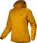 Arc'teryx Men's Atom Hoody Edziza, L