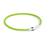 Basic LED-halsband till hund Nylon (Gr&ouml;n)