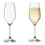 Set 3 Calices Flûte Champagne Restaurant 24 CL Verre - BORMIOLI ROCCO -