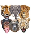 STAR CUTOUTS Lion, Tiger, Bear, Chimpanzee, Elephant, Leopard l Pack of Six l