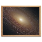 Hubble Space Telescope Image Spiral Galaxy NGC 2841 Blue Pink Emission Nebula Starbirth Region And A Majestic Disk Of Stars And Dust Lanes Art Print F