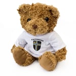 NEW - CAITHNESS FLAG - Teddy Bear - Cute Cuddly Soft Adorable - Gift Present