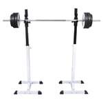 Squat Barbell Rack Set vidaXL