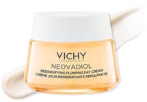 Day Cream Vichy Neovadiol Combination Skin Normal Skin Menopause (50 ml)