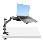 StarTech.com Desk Mount Laptop Arm - Full Motion Articulating Arm for Laptop or Single 34" Monitor - VESA Mount Laptop Tray Bracket - Ergonomic Adjustable Notebook Stand - Desk-Clamp (ARMUNONB1)