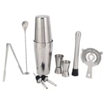 Boston Shaker Cocktail Shaker Set 9-delar, Martini Shaker, Bartender Kit med Hawthorne Filter/IC