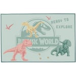 FUN HOUSE Fun House Jurassic World Dinosaur Carpet 120x80 Cm