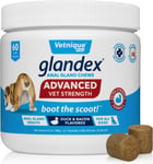 Glandex Anal Gland Soft Chew Treats With Pumpkin For Dogs Digestive Enzymes