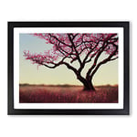 Feisty Blossom Tree H1022 Framed Print for Living Room Bedroom Home Office Décor, Wall Art Picture Ready to Hang, Black A4 Frame (34 x 25 cm)