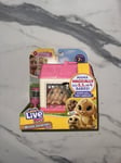 Little Live Pets Mama Surprise Minis Lil Bunny