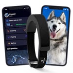 Invoxia Smart Dog Collar [Large] - Scan santé Cardiaque, activité & GPS - 15 Jours d’autonomie - Multi-récompensé - Carte SIM 4G intégrée