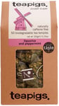 Teapigs Liquorice and Peppermint Tea Bags Made With Whole Leaves 1 Packs of 50