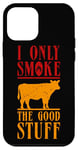 Coque pour iPhone 12 mini Barbecue à viande amusant