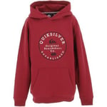 Sweat-shirt enfant Quiksilver  Graphichoodie otlr