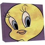 Tweety Wall Decoration Deco Kids Bedrom Canvas Art Brand New Gift