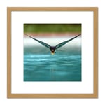 Sanchezn Swallow Bird Drinking Swimming Pool Photo 8X8 Inch Square Wooden Framed Wall Art Print Picture with Mount