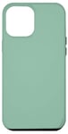 Coque pour iPhone 15 Plus Couleur vert foncé