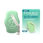 Foamie Scalp Shampooing ferme anti-pelliculaire pour cuir chevelu avec BHA, acide salicylique et extrait de fleur de mauve, spécialisé dans les soins du cuir chevelu, solution anti-pelliculaire et