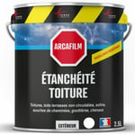 Arcane Industries - tanchéité Toiture : Peinture arcafilm - Résine Etanchéité pour Tuile 2.5 l Blanc