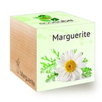 Feel Green Ecocube Marguerite, Idée Cadeau (100% Ecologique), Grow-Your-Own/Kit Prêt-à-Pousser, Plantes Dans Des Cubes En Bois 7.5cm, Produit En Autriche