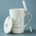 DUKAILIN Espresso Cups Ceramic Mug 12 Constellation Mug, Zodiac Milk Coffee Cup Drink with Spoon Cover