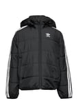 Adidas Originals Padded Jacket Svart