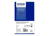Epson SureLab Pro-S Paper Glossy - Brillant - 252 microns - Rouleau (15,2 cm x 65 m) - 252 g/m² - 2 rouleau(x) papier - pour SURELAB D3000, D700, SL-D1000; SURELAB SL D700, D800, D800 240V