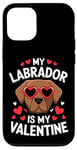 iPhone 12/12 Pro Chocolate Labrador My Valentines Hearts Day Dog Mom Dad Case