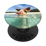 Pig Pop Mount Socket Palm Sun Beach Vacation Hawaii PopSockets PopGrip: Swappable Grip for Phones & Tablets
