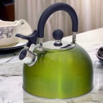 Stovetop Kettle Whistling Spout Metallic Green Stainless Steel Gas Electric Hob