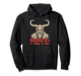 Krampus Is Coming To Town Christmas Monster Men Women Kids Pullover Hoodie