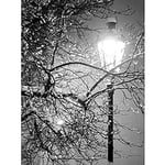 Wee Blue Coo Lonely Street Lamp Winter Night Black White Photo Art Large Art Print Poster Wall Decor 18x24 inch