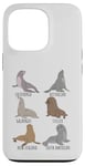 iPhone 13 Pro Different Type of Sea Lions Breed Collection,Cute Sea Lions Case