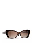 CHANEL Butterfly Sunglasses CH5481H Dark Havana/Brown Gradient