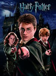 Harry Potter (Harry Ron Hermione 40 x 50 cm Toile Imprimée