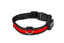 EYENIMAL Collier Lumineux Rechargeable USB pour Chien Rouge 45-55 cm Taille M