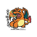 CLEARANCE Charizard Pokemon B-Side Label BIG Pokemon Sticker