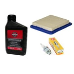 Hayter Harrier 41 Petrol Lawnmower Service Kit For Quantum Engine Ng