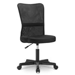 Mesh High Back Executive Adjustable Swivel Office Chair Lumbar Support Computer Desk Chair (Black)