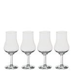 Orrefors - Elixir Vinprovarglas 28 cl 4-pack