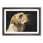 Big Box Art Golden Labrador Dog Vol.1 Painting Framed Wall Art Picture Print Ready to Hang, Walnut A2 (62 x 45 cm)