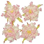 Scrapberrys Pappersblommor - Gardenia 50 mm White Pink 4 st