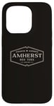 iPhone 15 Pro Amherst New York | Historic Amherst NY Case