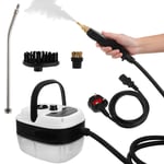 2500W High Pressure Steam Cleaner Machine Portable Cleaning Kitchen Car Machine