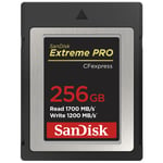 SanDisk CFexpress Extreme Pro 1700 Mt / s - 256 gt