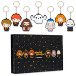 Harry Potter Porte Clef - Coffret Cadeau Porte Clef Original Mini Figurine Personnage Harry Ron Hermione Dumbledore (Noir/Multi)