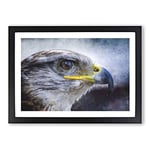 Big Box Art Golden Eagle Vol.4 Painting Framed Wall Art Picture Print Ready to Hang, Black A2 (62 x 45 cm)