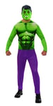 Déguisement Adulte Entrée de Gamme Hulk - XL